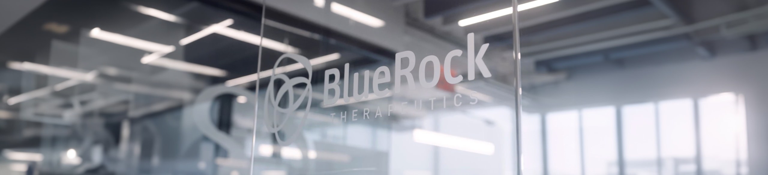 A glass door with the BlueRock logo on it in the BlueRock office