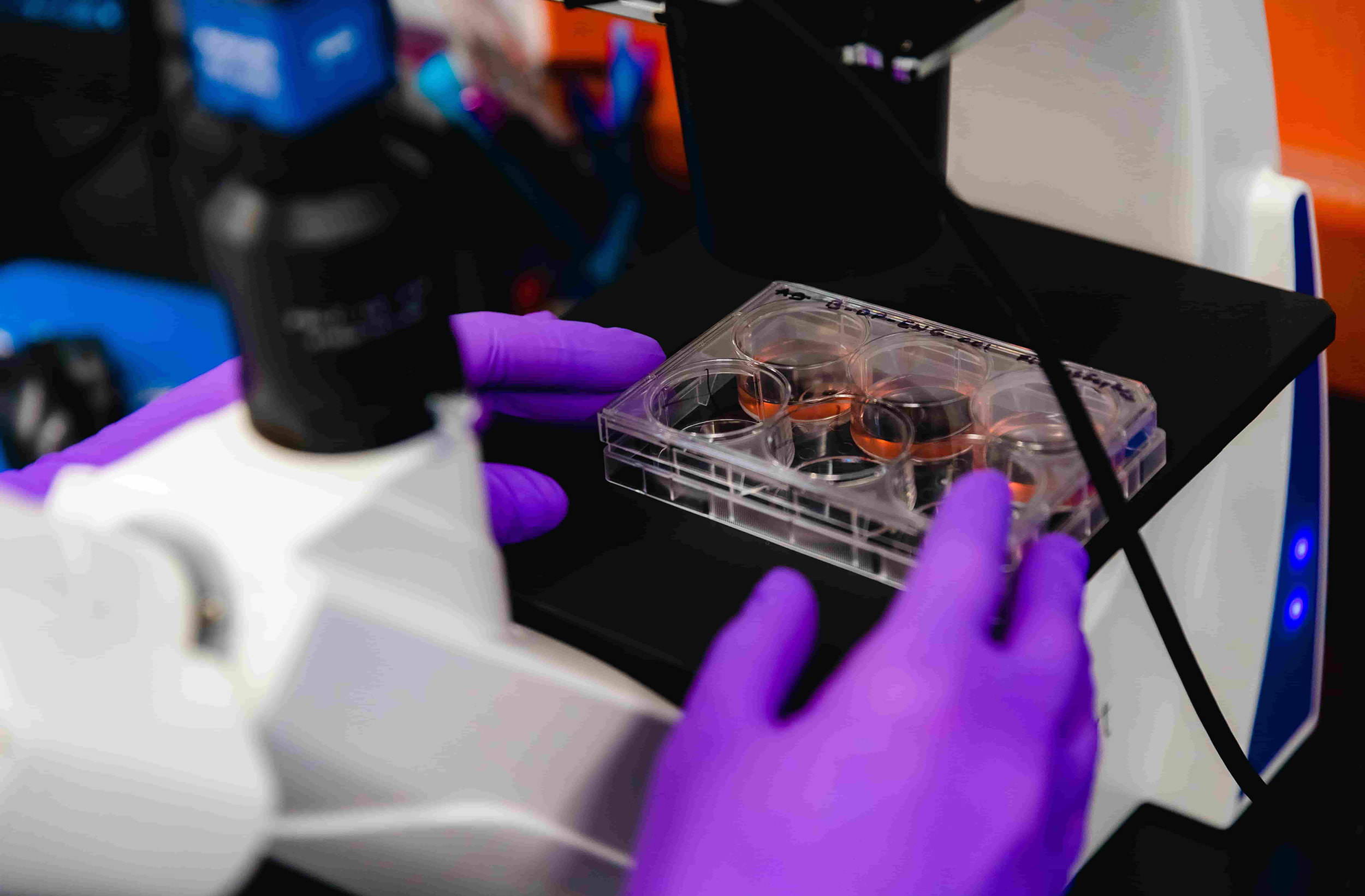 A BlueRock Therapeutics scientist placing a platform card onto a microscope