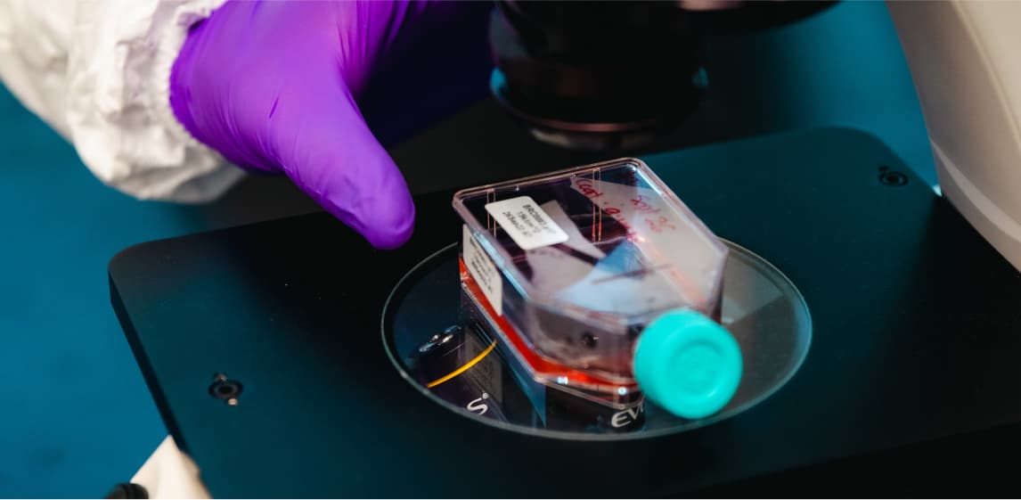 A scientist's gloved hand placing a specimen on a microscope