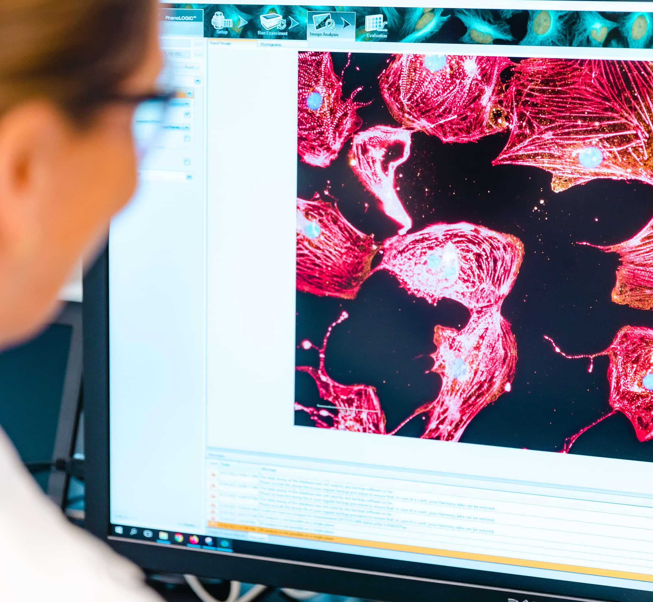 A BlueRock Therapeutics employee looking at a computer screen image of a cell