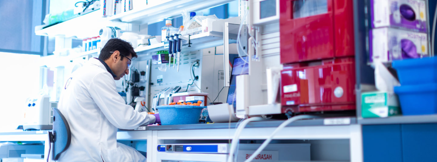 A BlueRock Therapeutics scientist at work in a lab