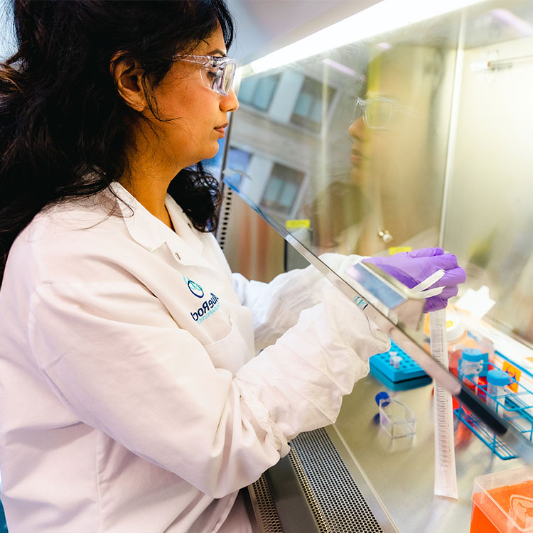 Female scientist working under a hood.