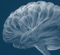 Abstract image of a brain in navy and white