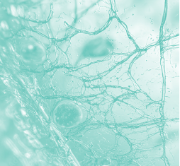 Abstract image of a neural network in teal